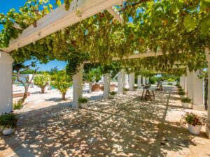 Experience Timeless Luxury: Rent a 19th Century Masseria in Polignano a Mare for Your Dream Holiday in Puglia from VILLAWAY®